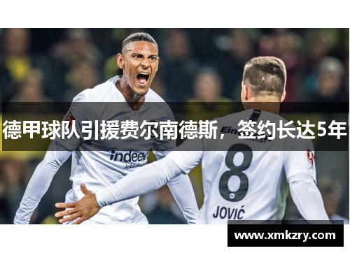 德甲球队引援费尔南德斯，签约长达5年